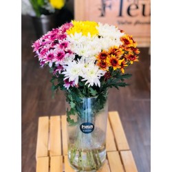 BOUQUET DE MARGUERITES