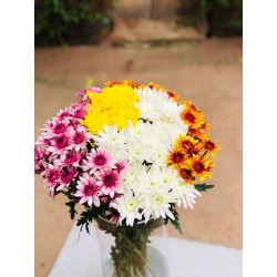 BOUQUET DE MARGUERITES